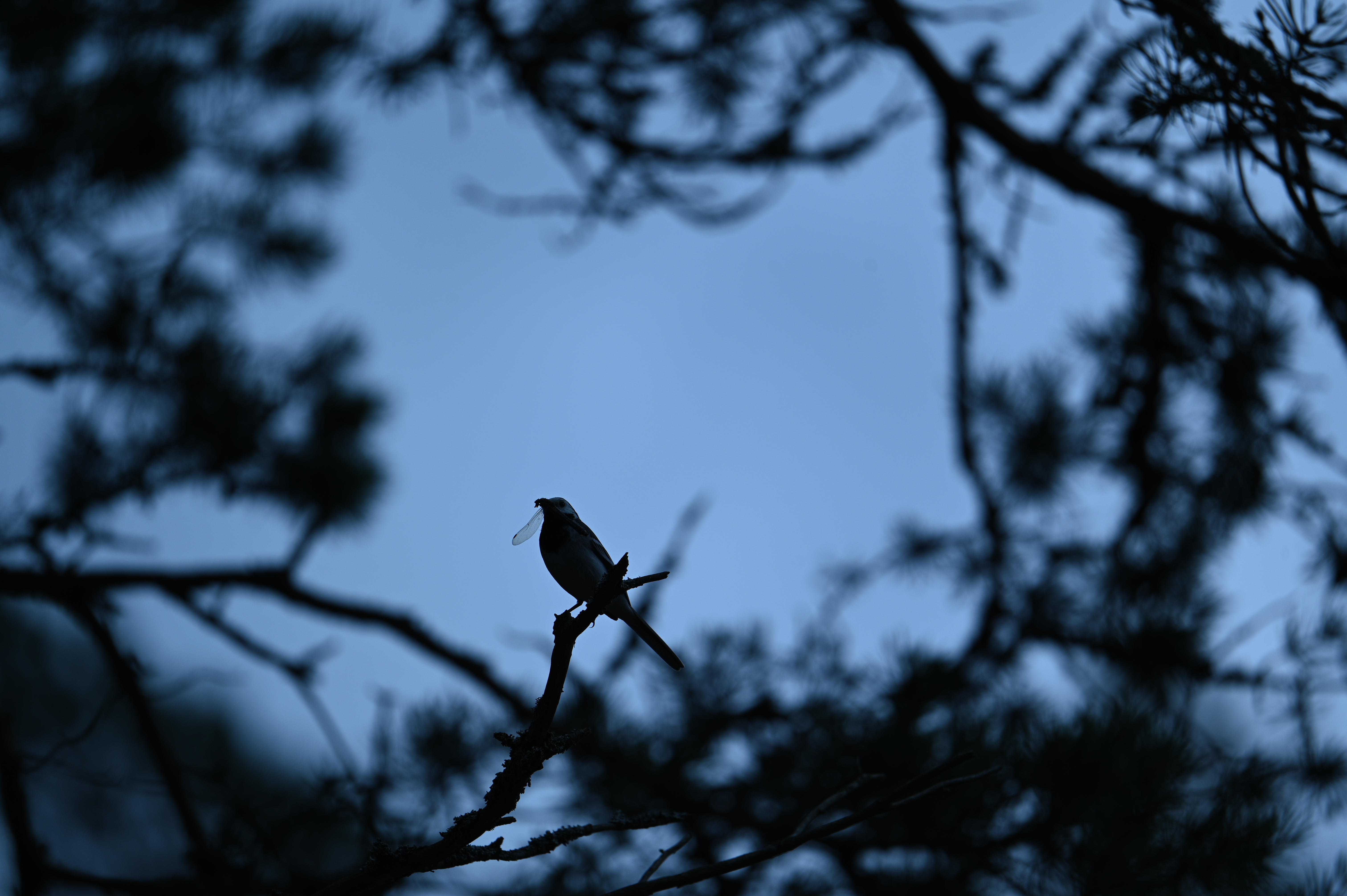 2025/07/09-14 - trip/DSC_0378.JPG